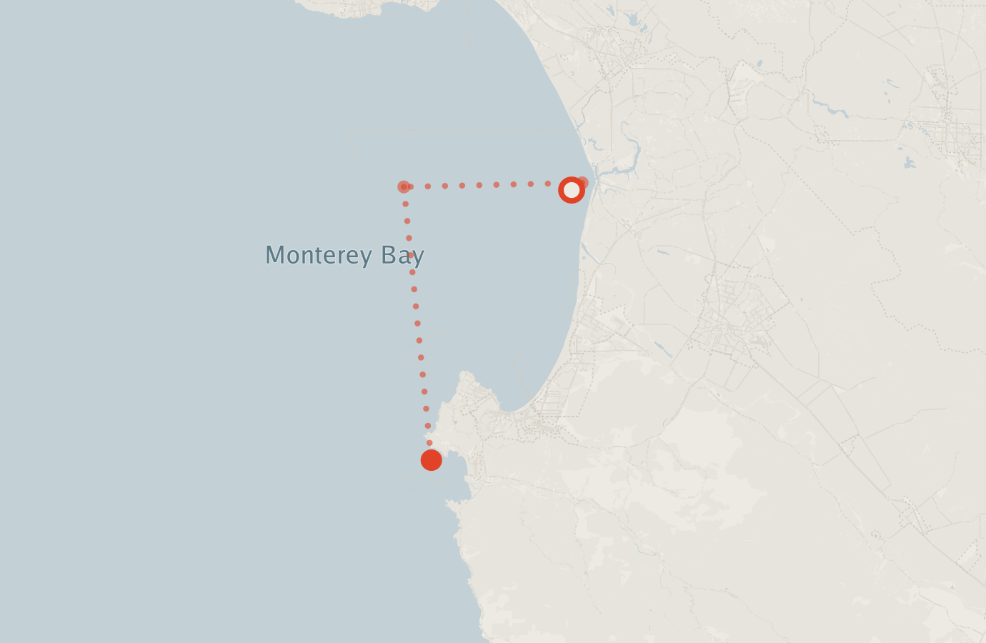 Activity map — real sighting points on an OpenStreetMap basemap