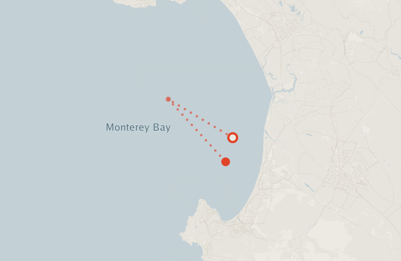 Activity map — real sighting points on an OpenStreetMap basemap