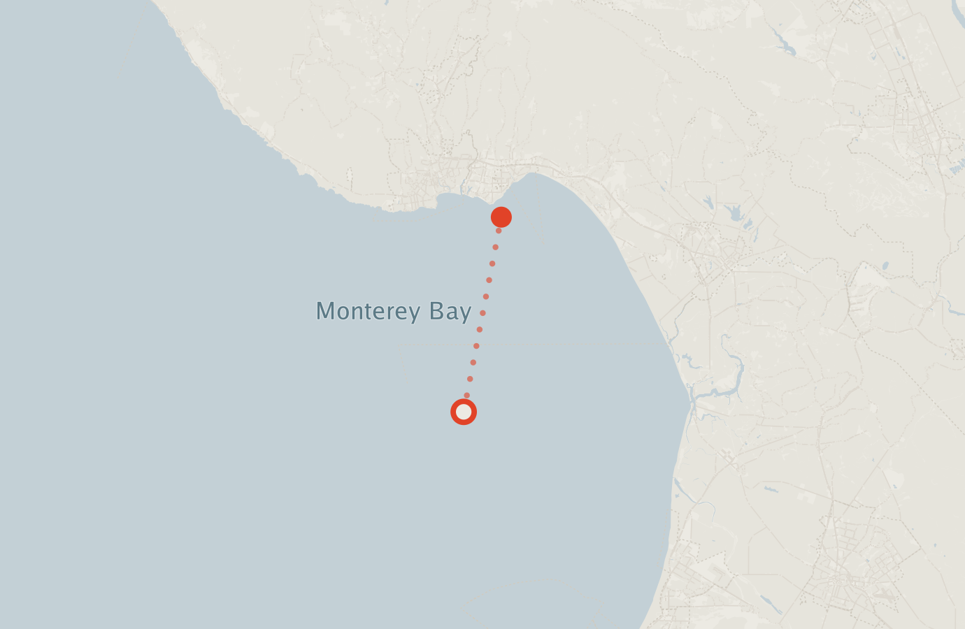 Activity map — real sighting points on an OpenStreetMap basemap