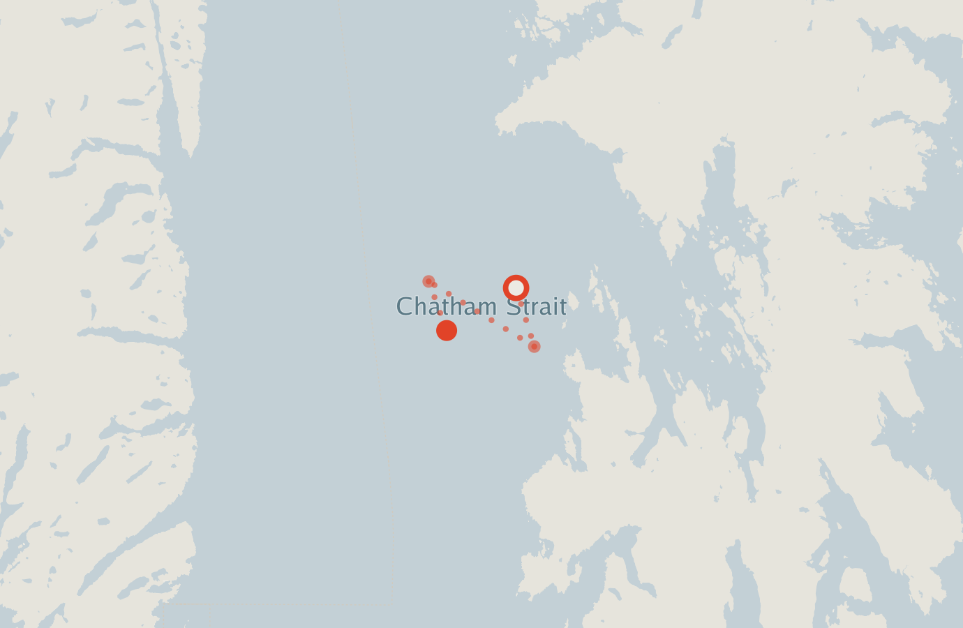 Activity map — real sighting points on an OpenStreetMap basemap
