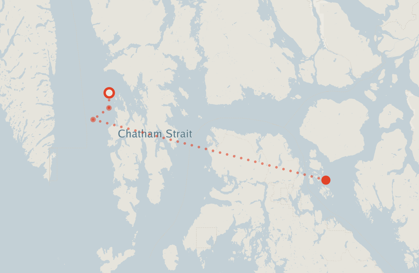 Activity map — real sighting points on an OpenStreetMap basemap