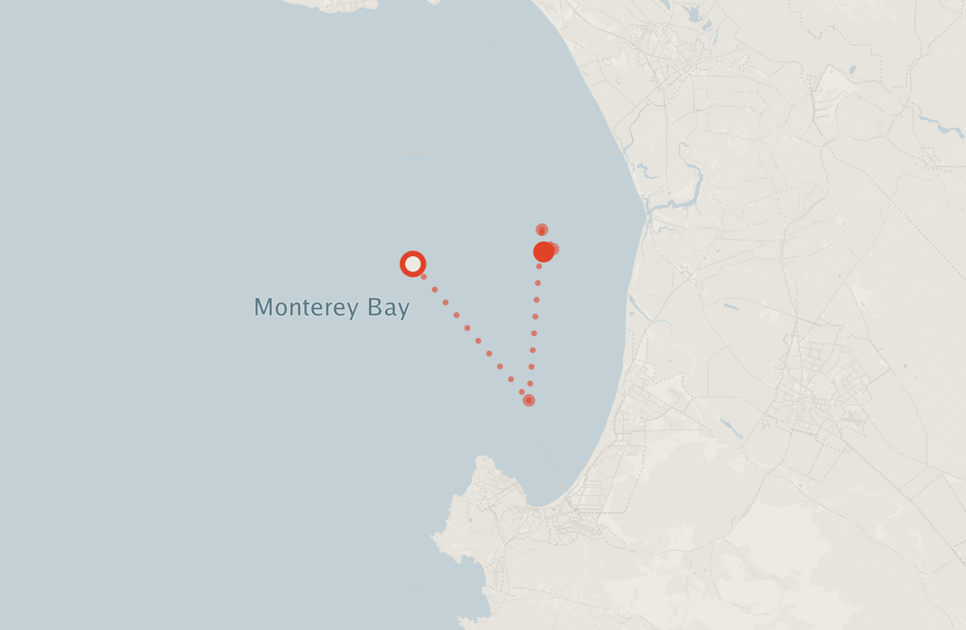 Activity map — real sighting points on an OpenStreetMap basemap