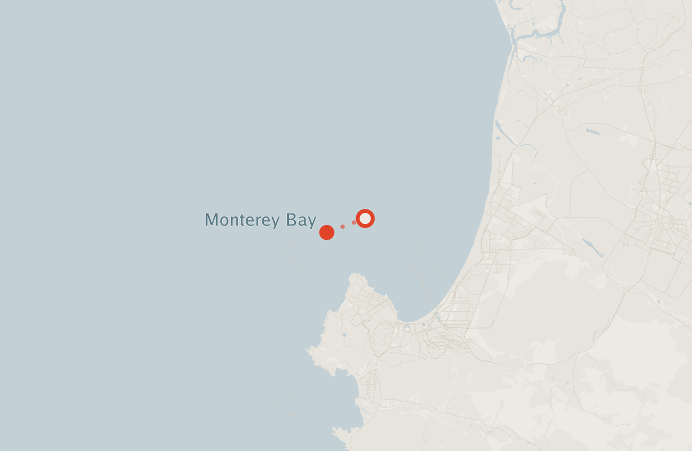 Activity map — real sighting points on an OpenStreetMap basemap