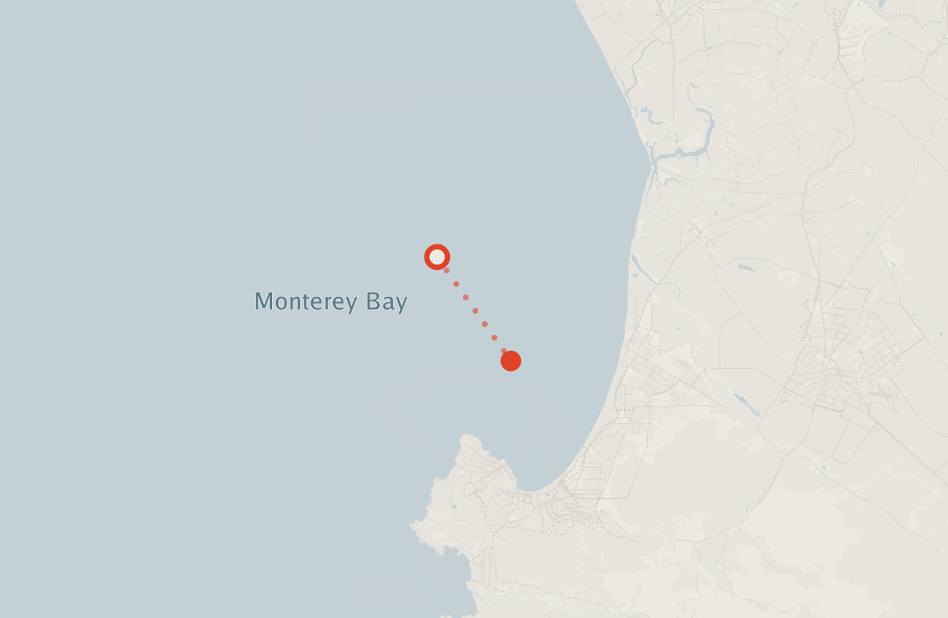 Activity map — real sighting points on an OpenStreetMap basemap
