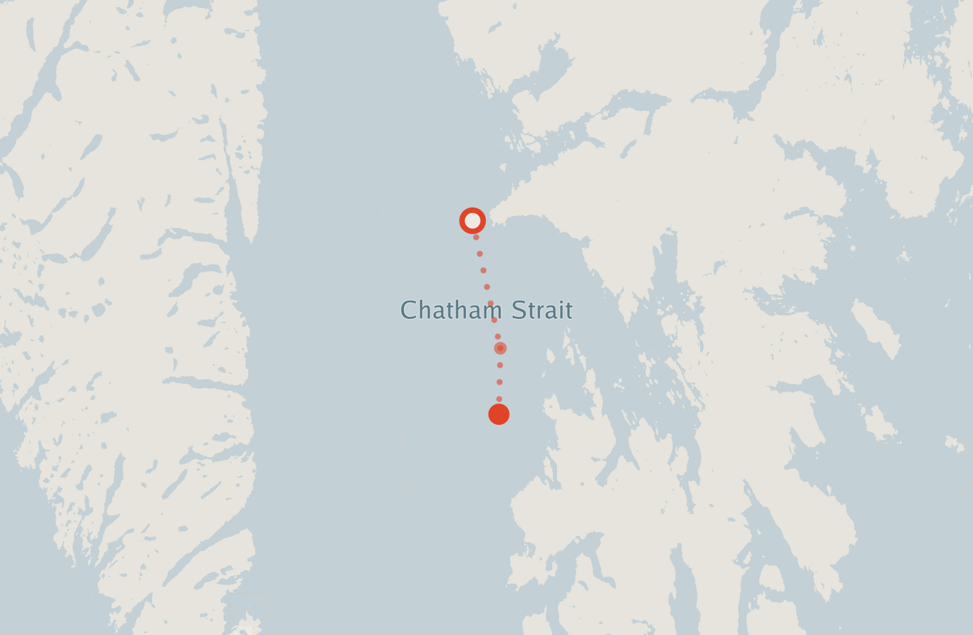 Activity map — real sighting points on an OpenStreetMap basemap