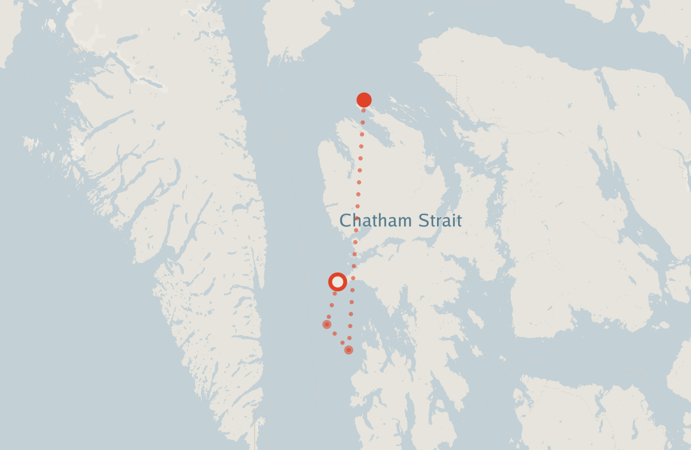 Activity map — real sighting points on an OpenStreetMap basemap