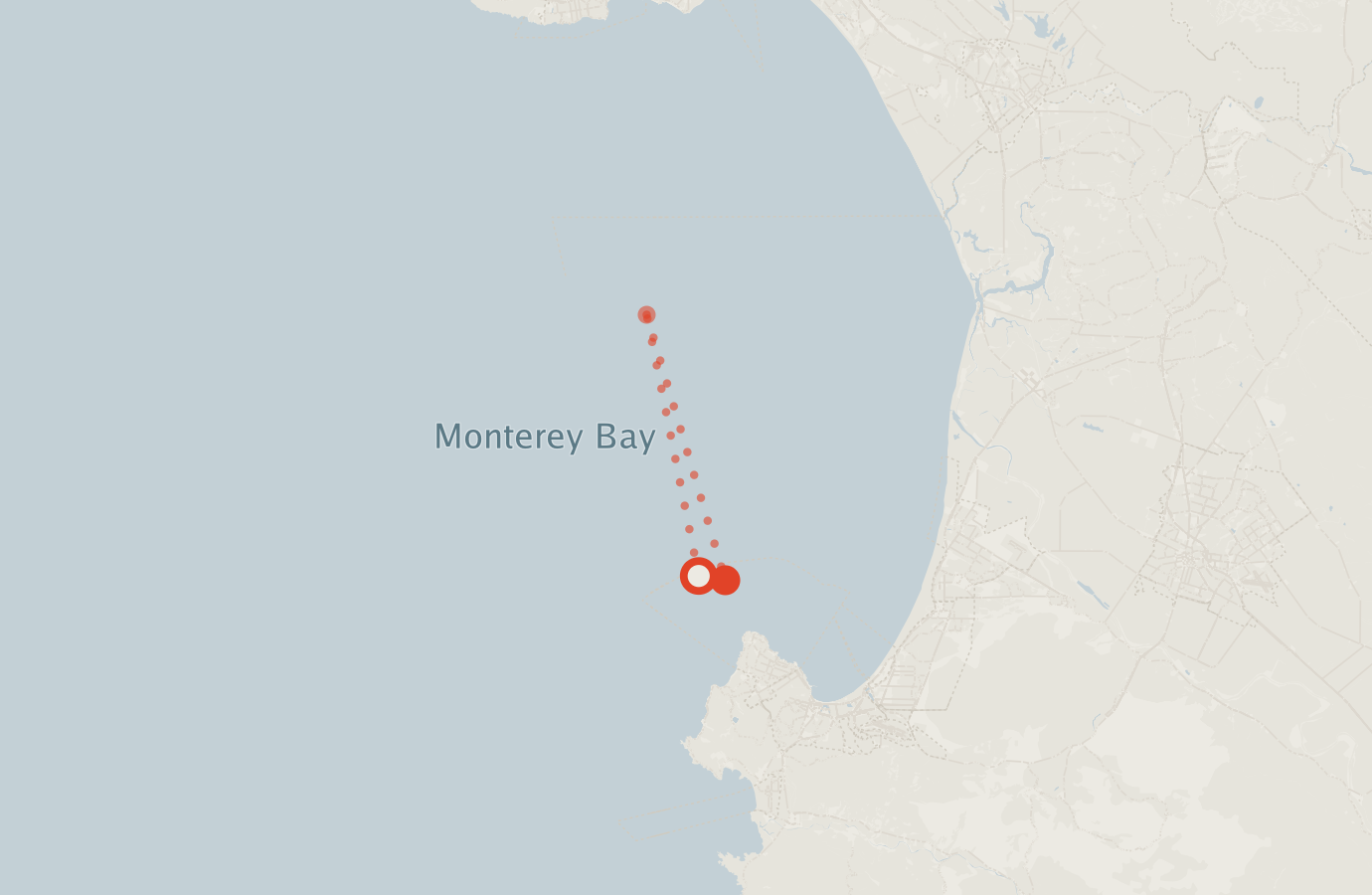 Activity map — real sighting points on an OpenStreetMap basemap