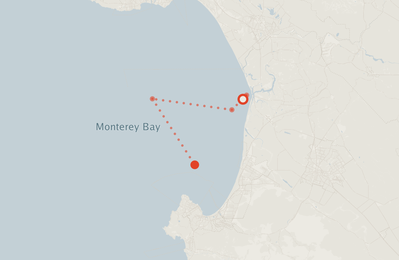 Activity map — real sighting points on an OpenStreetMap basemap