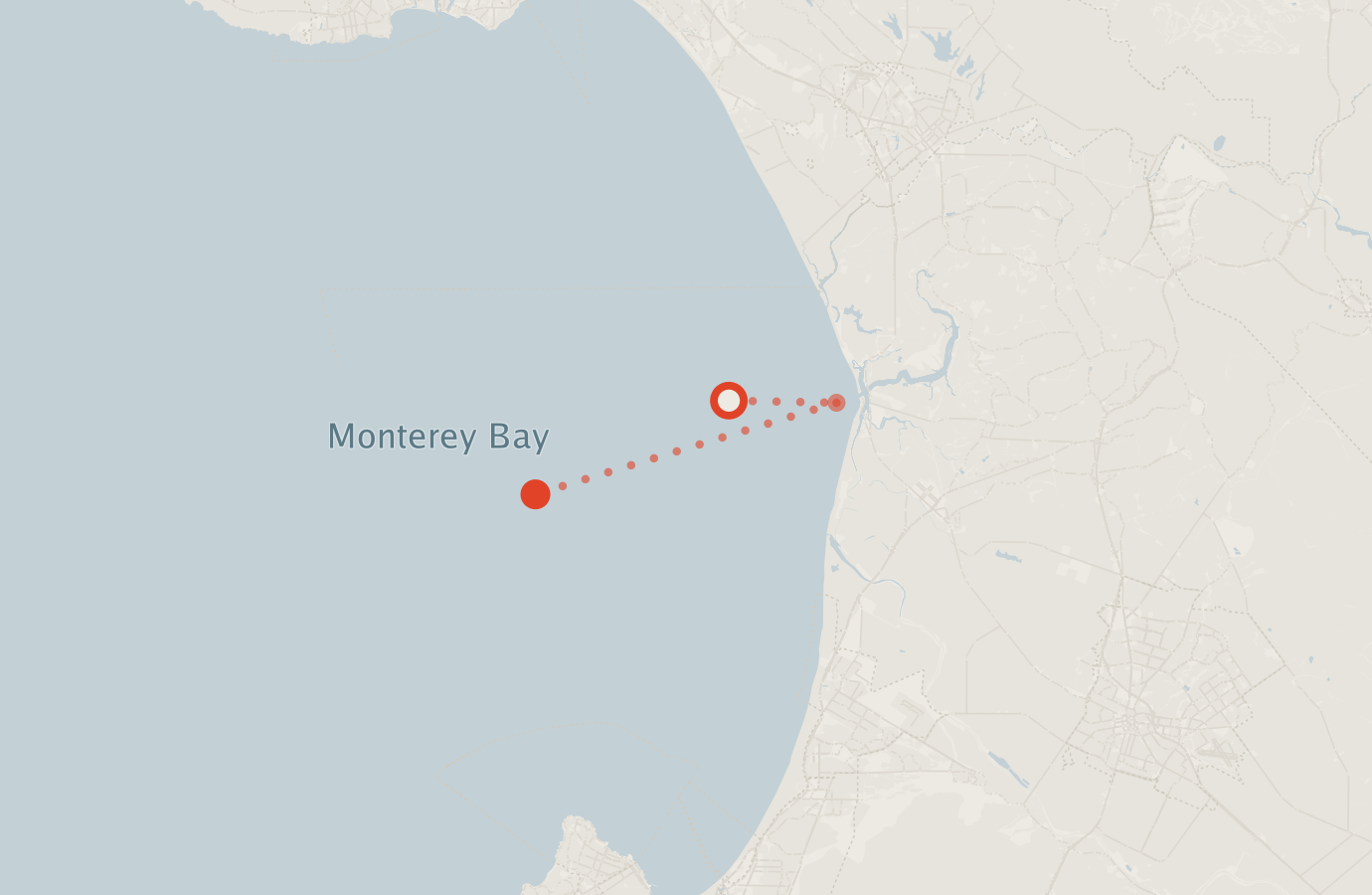 Activity map — real sighting points on an OpenStreetMap basemap