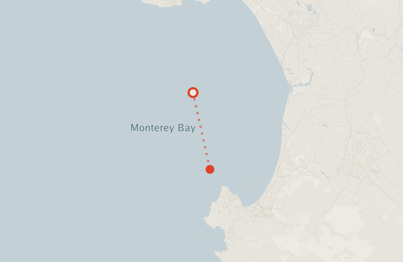 Activity map — real sighting points on an OpenStreetMap basemap