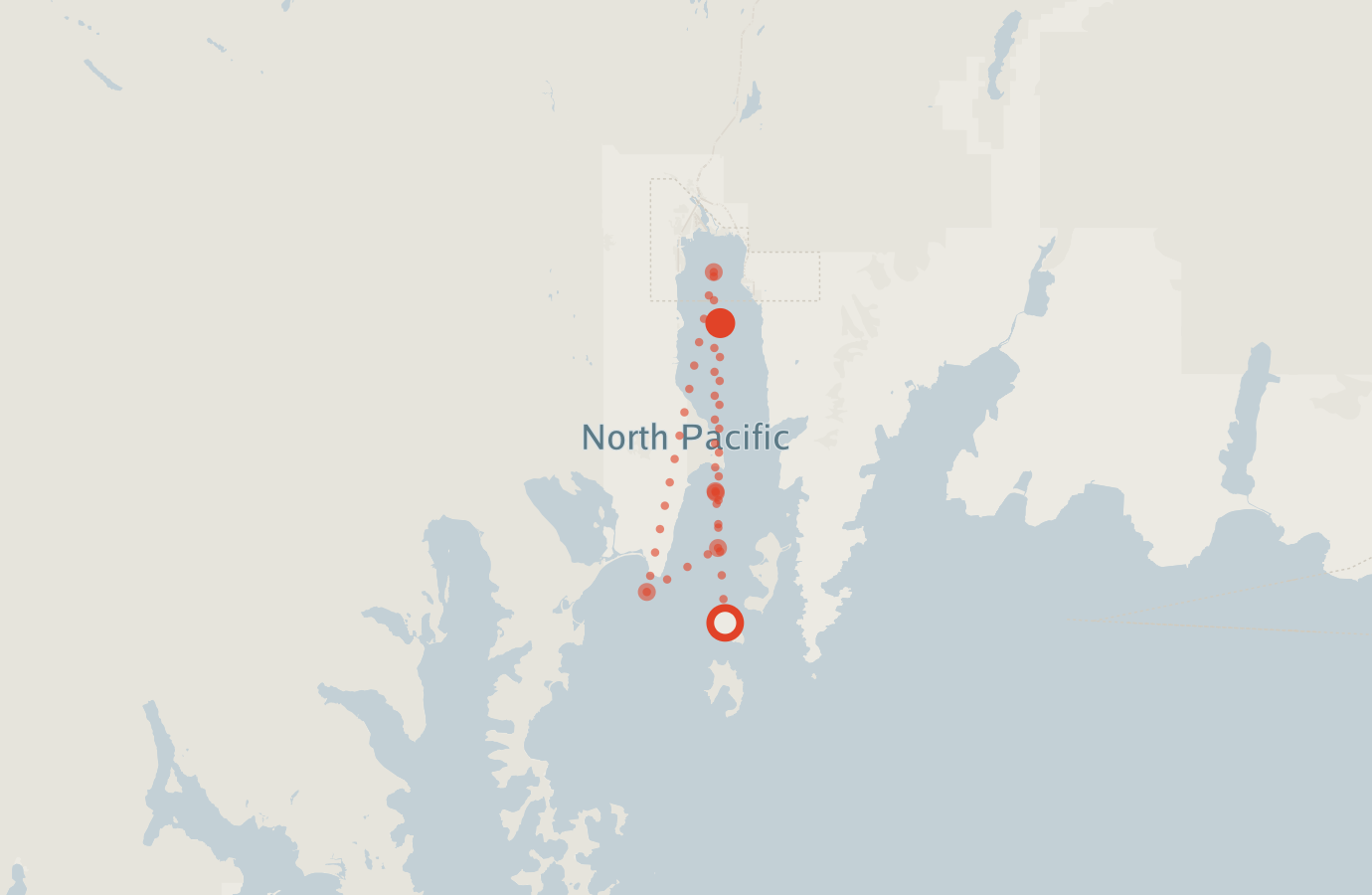 Activity map — real sighting points on an OpenStreetMap basemap