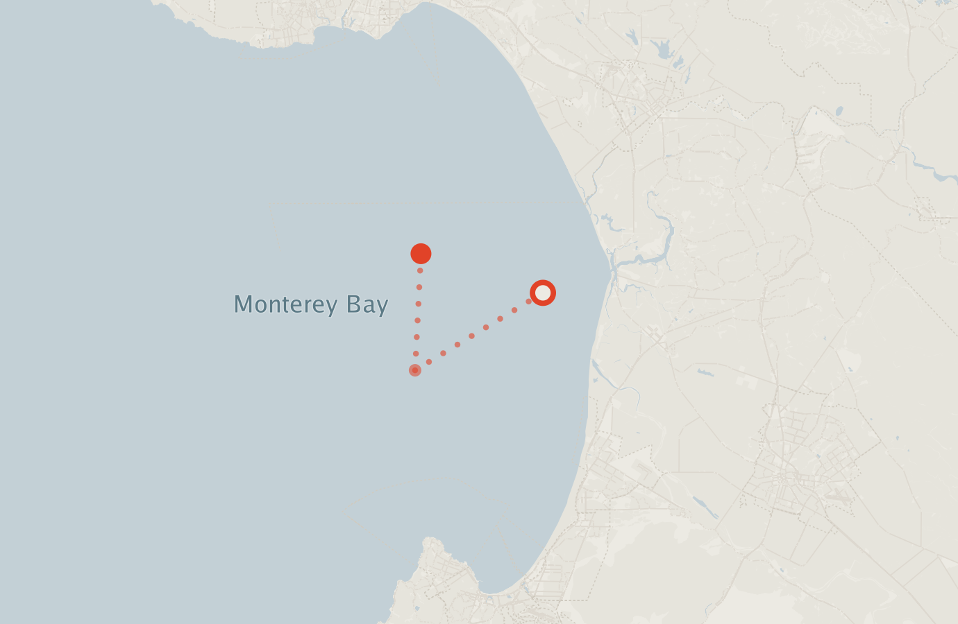 Activity map — real sighting points on an OpenStreetMap basemap
