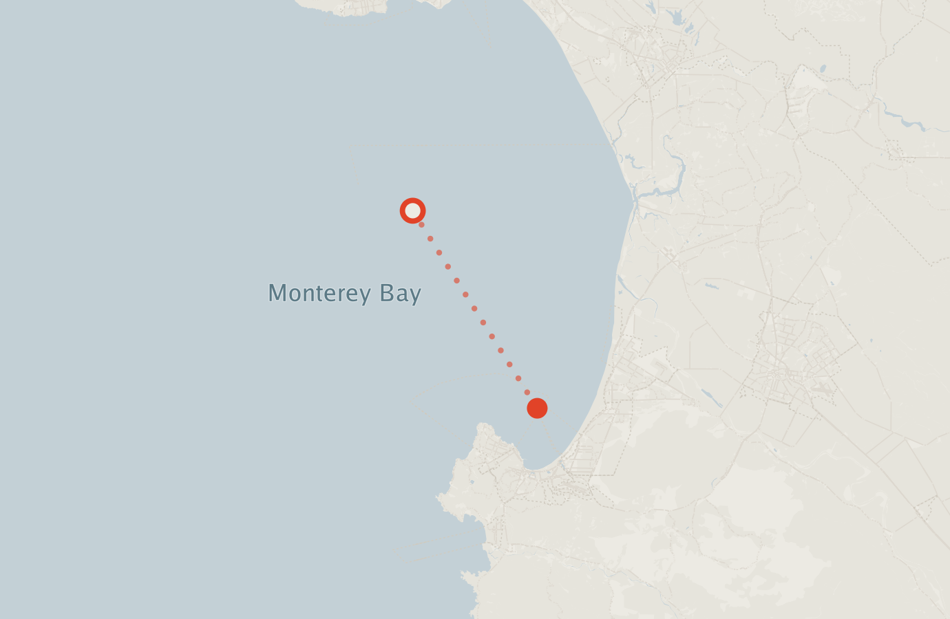 Activity map — real sighting points on an OpenStreetMap basemap
