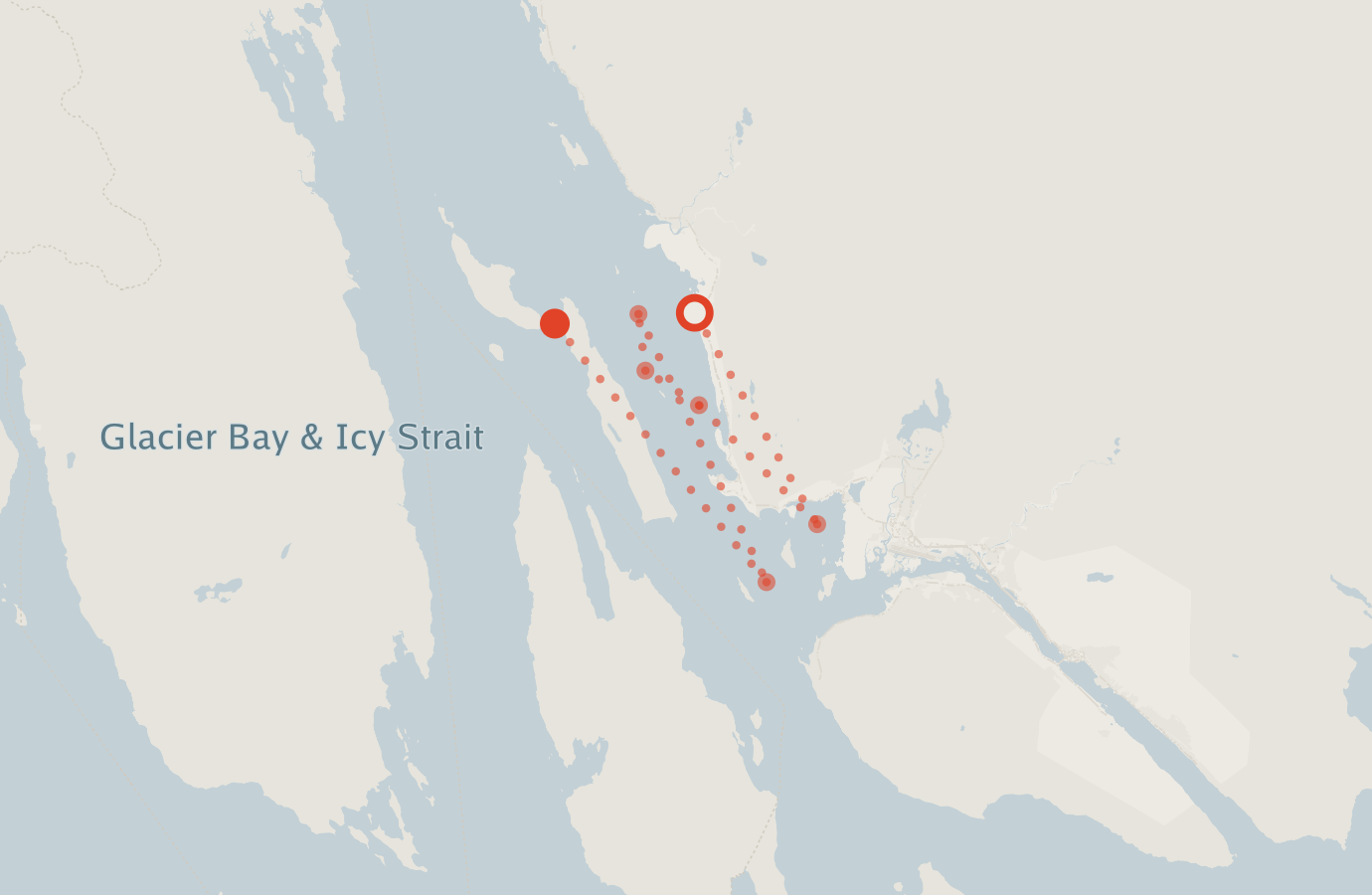 Activity map — real sighting points on an OpenStreetMap basemap