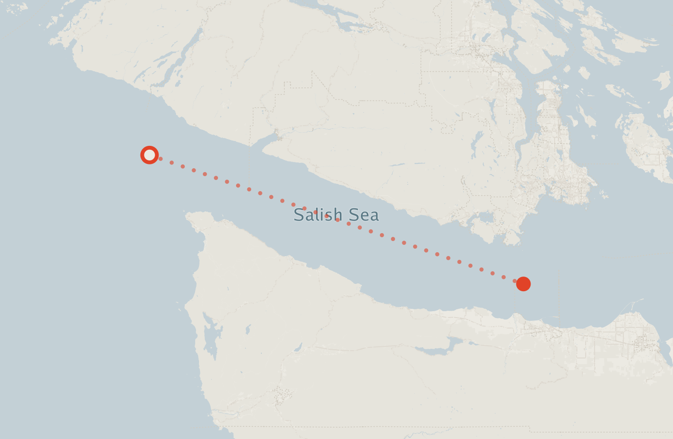 Activity map — real sighting points on an OpenStreetMap basemap
