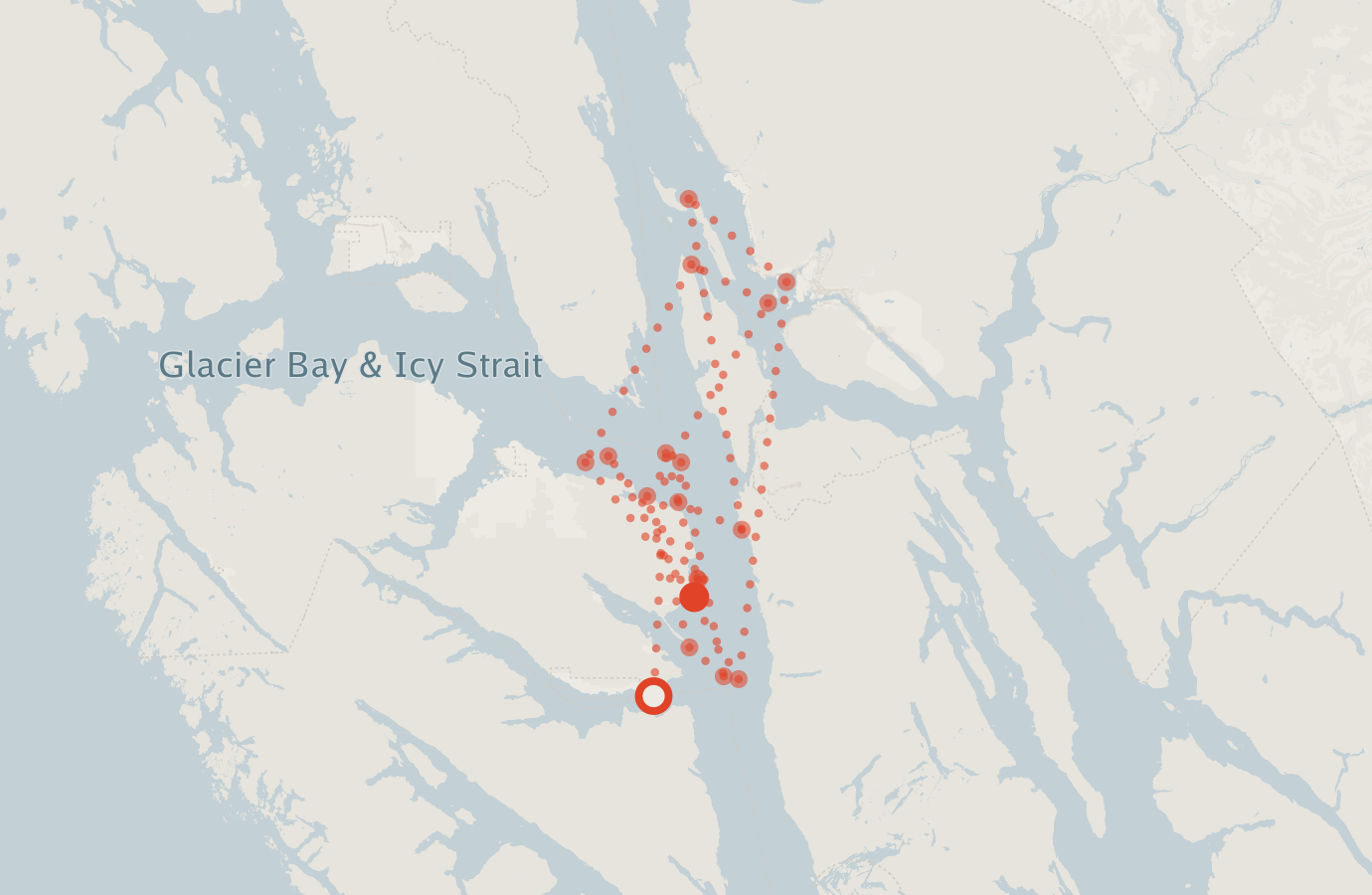Activity map — real sighting points on an OpenStreetMap basemap
