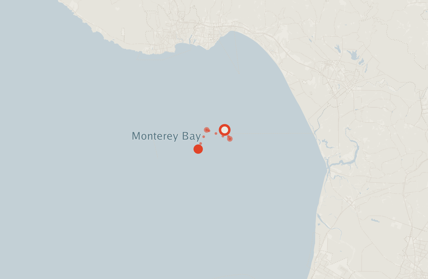 Activity map — real sighting points on an OpenStreetMap basemap