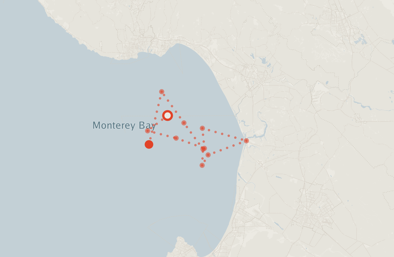 Activity map — real sighting points on an OpenStreetMap basemap