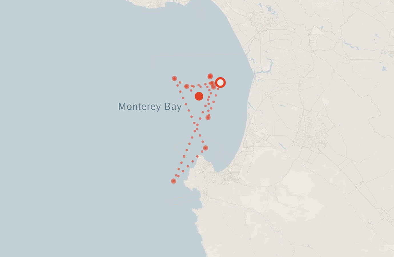 Activity map — real sighting points on an OpenStreetMap basemap