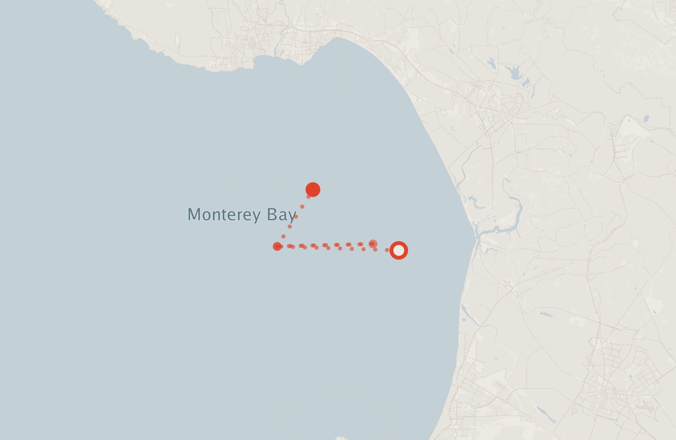 Activity map — real sighting points on an OpenStreetMap basemap