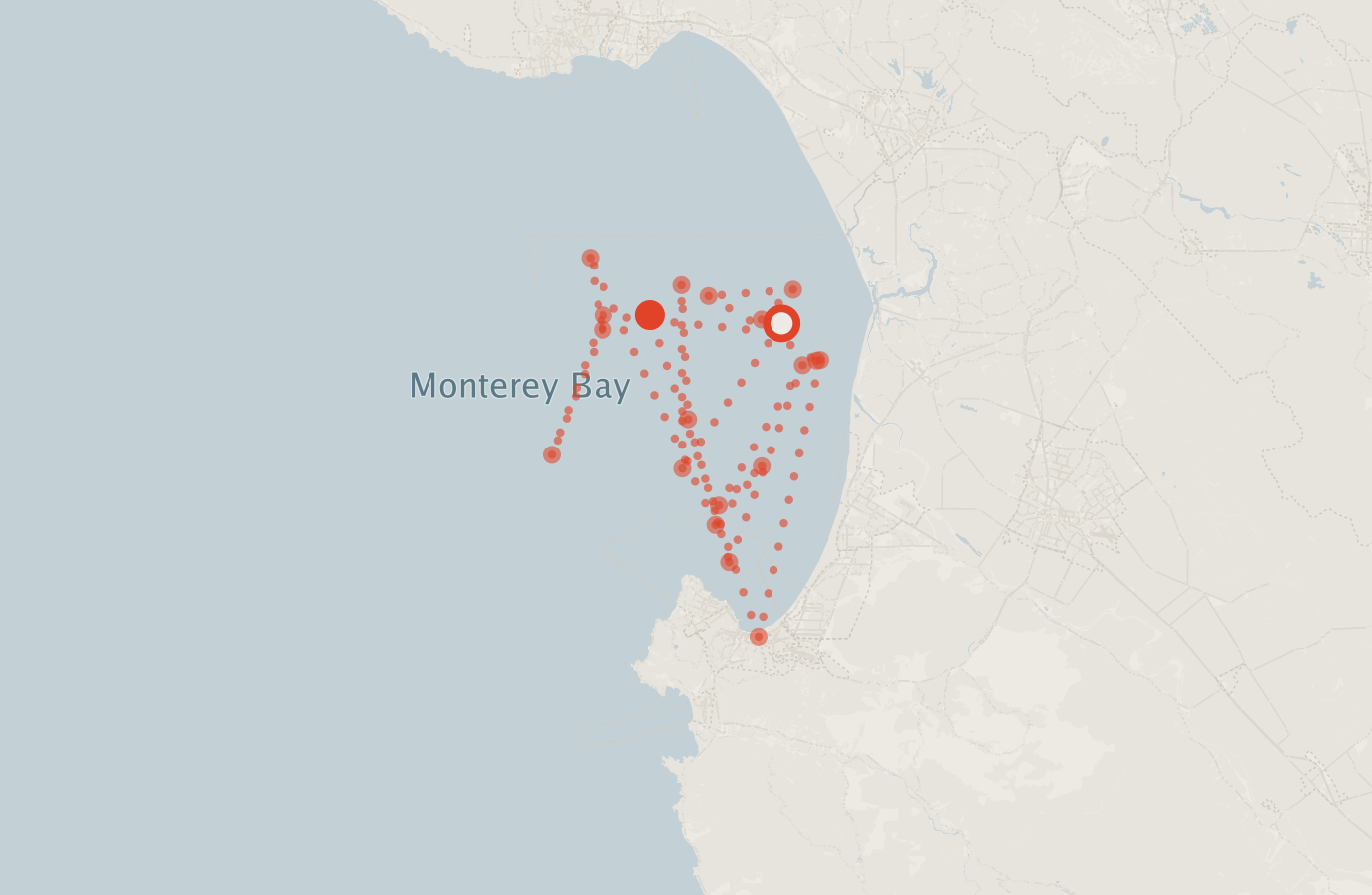 Activity map — real sighting points on an OpenStreetMap basemap
