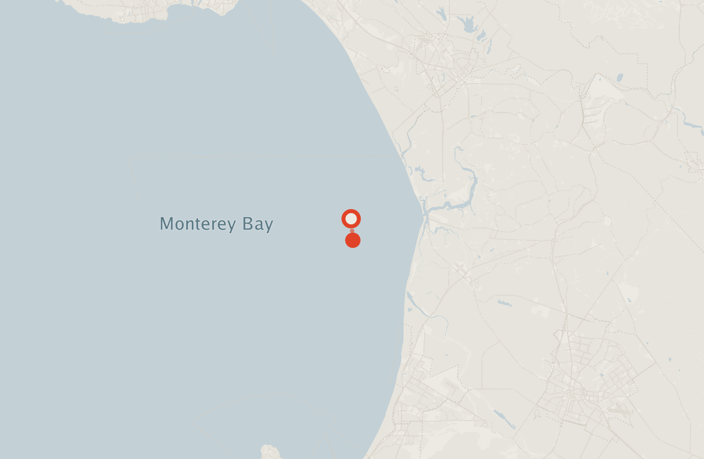 Activity map — real sighting points on an OpenStreetMap basemap