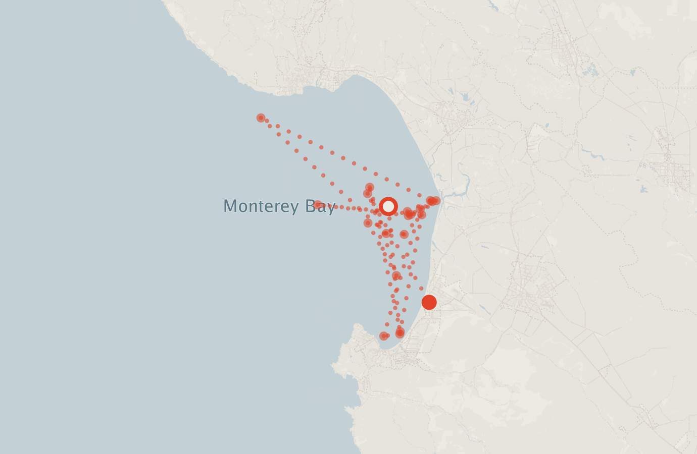 Activity map — real sighting points on an OpenStreetMap basemap