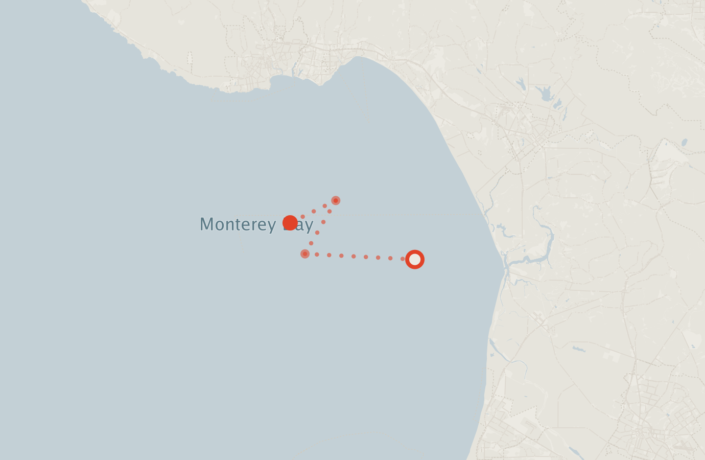 Activity map — real sighting points on an OpenStreetMap basemap
