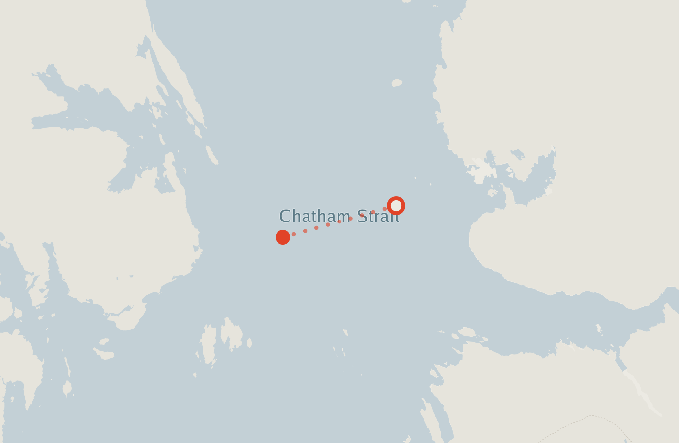 Activity map — real sighting points on an OpenStreetMap basemap
