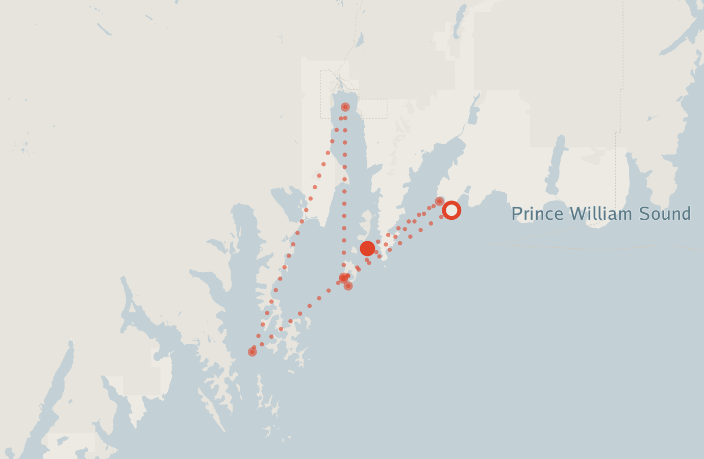Activity map — real sighting points on an OpenStreetMap basemap