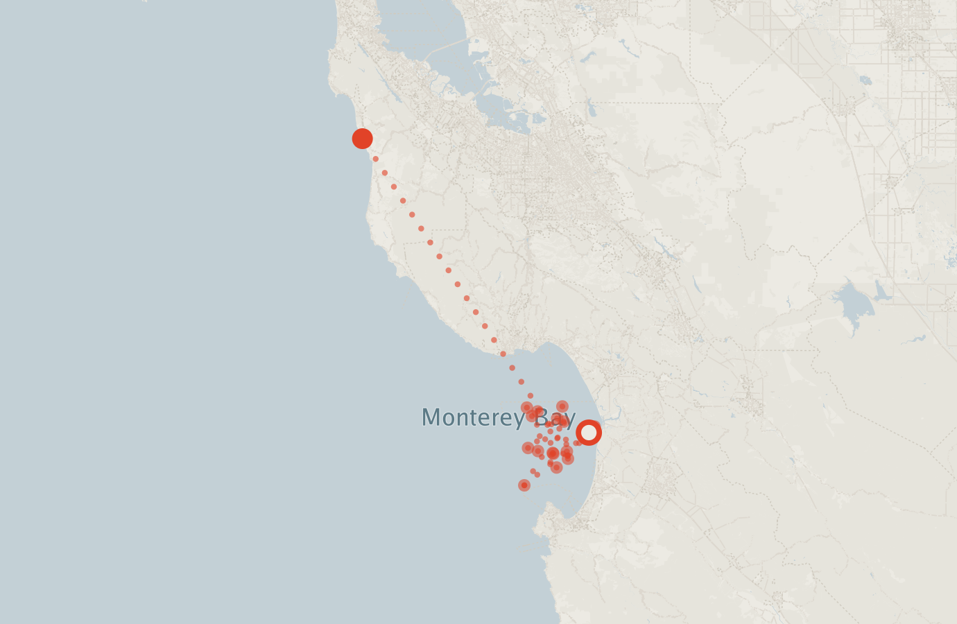 Activity map — real sighting points on an OpenStreetMap basemap