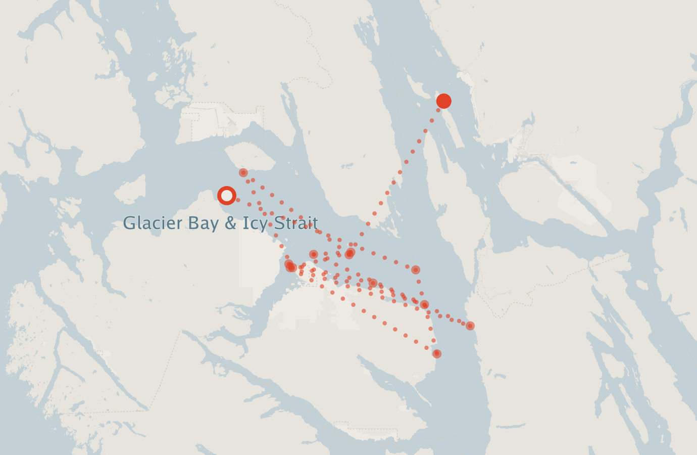 Activity map — real sighting points on an OpenStreetMap basemap