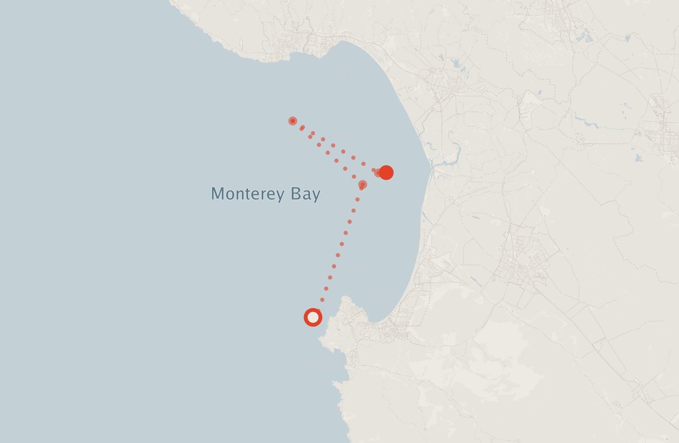 Activity map — real sighting points on an OpenStreetMap basemap