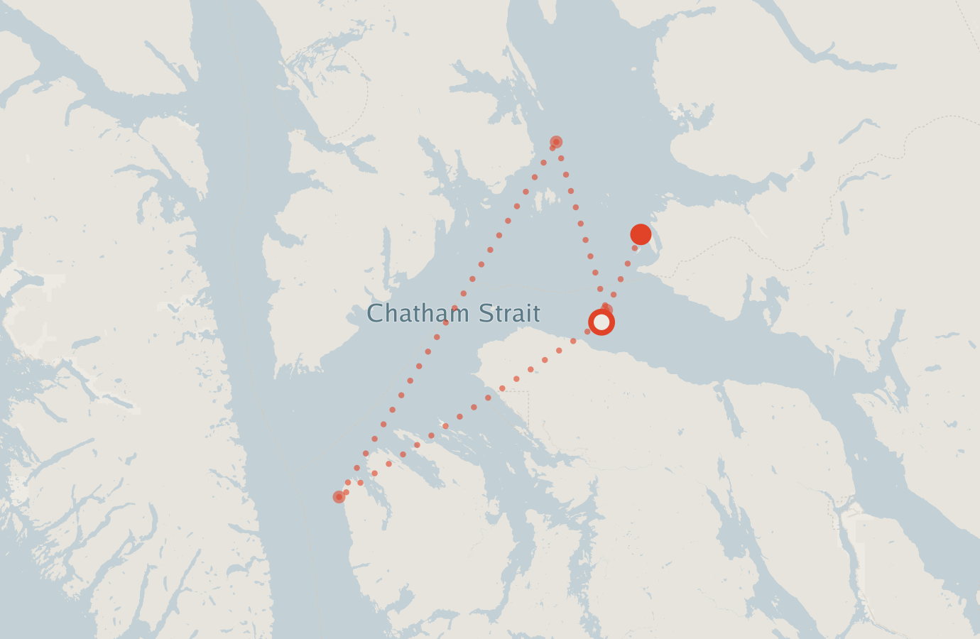 Activity map — real sighting points on an OpenStreetMap basemap