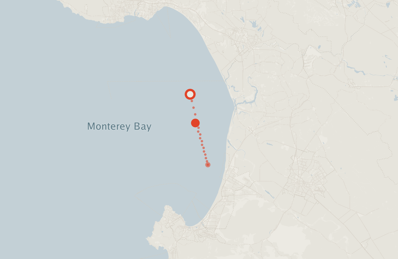 Activity map — real sighting points on an OpenStreetMap basemap