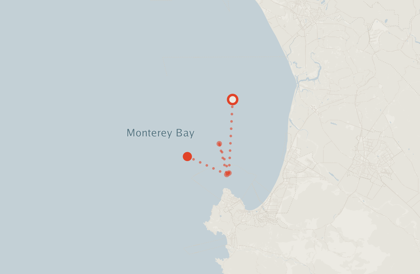 Activity map — real sighting points on an OpenStreetMap basemap