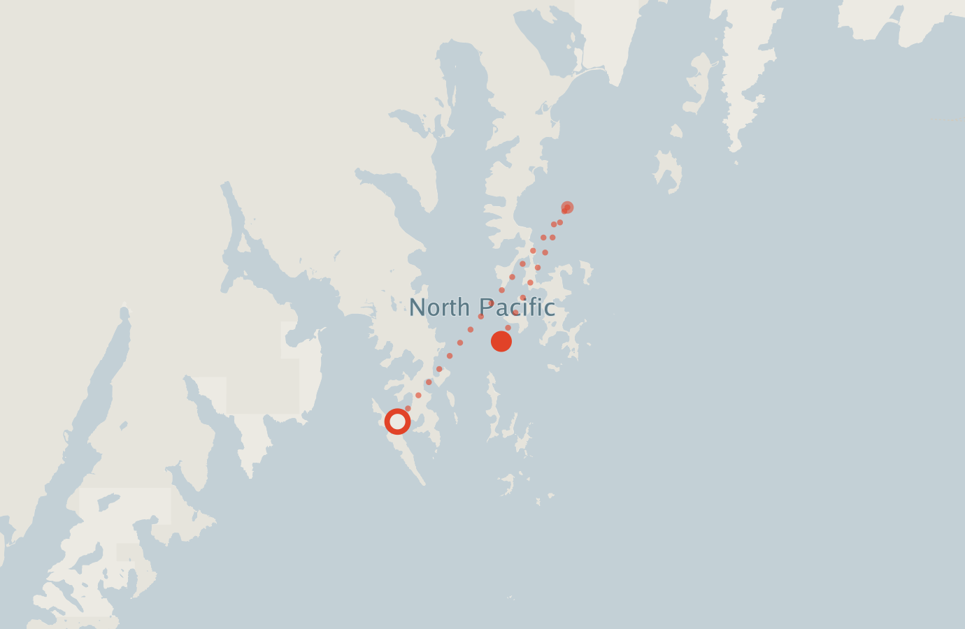 Activity map — real sighting points on an OpenStreetMap basemap