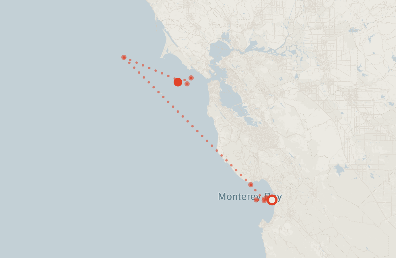 Activity map — real sighting points on an OpenStreetMap basemap