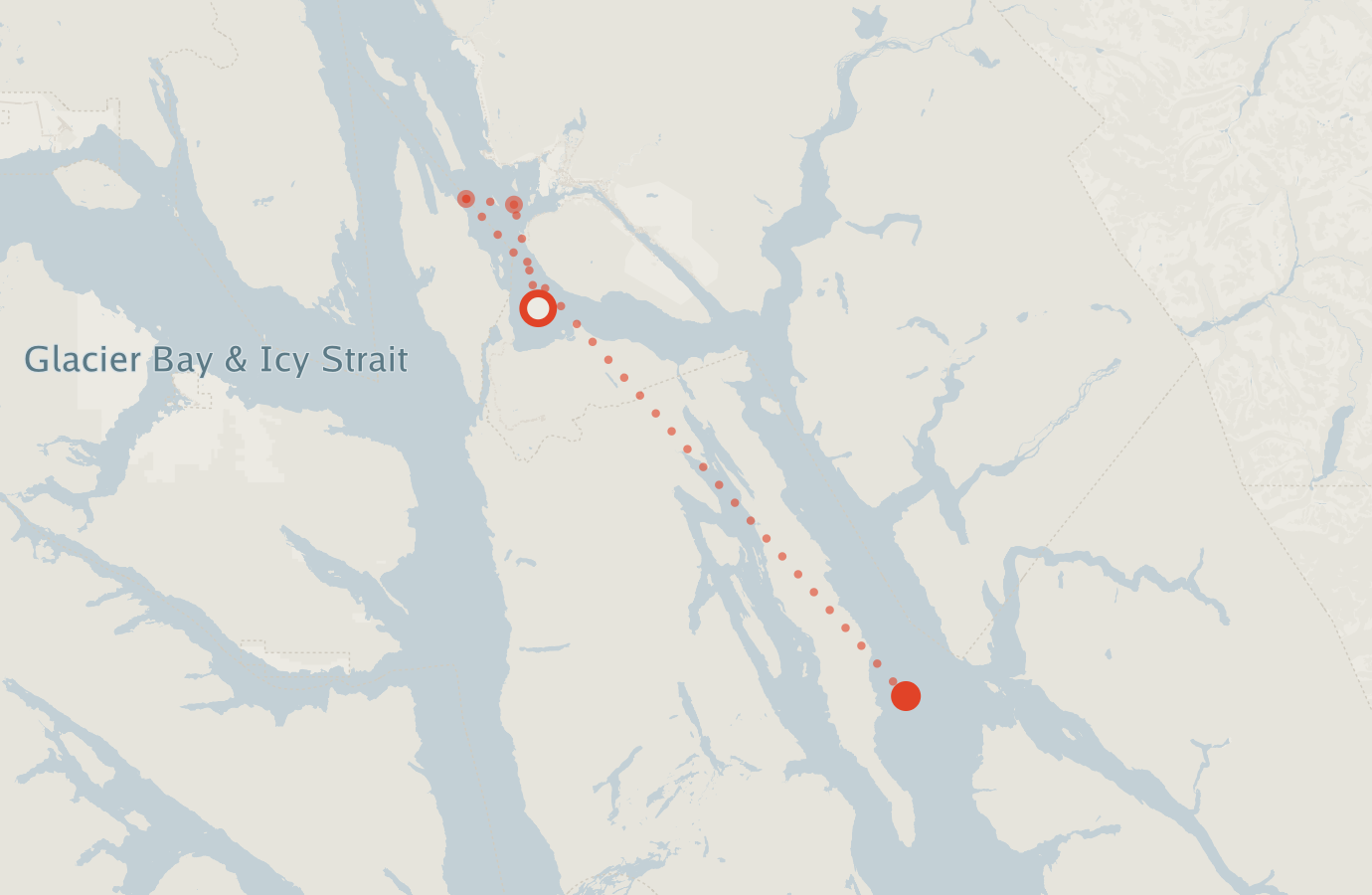 Activity map — real sighting points on an OpenStreetMap basemap