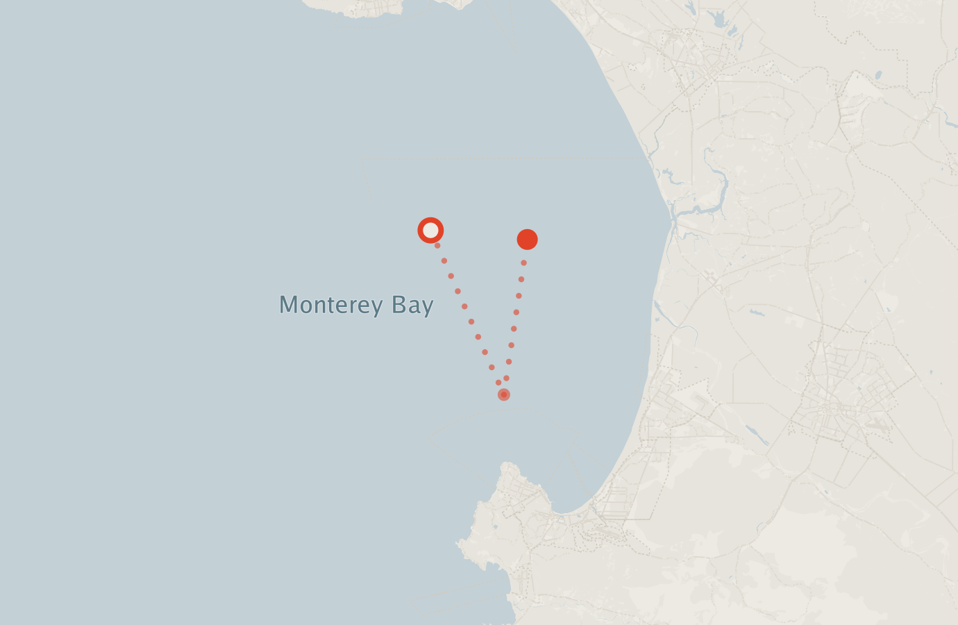 Activity map — real sighting points on an OpenStreetMap basemap