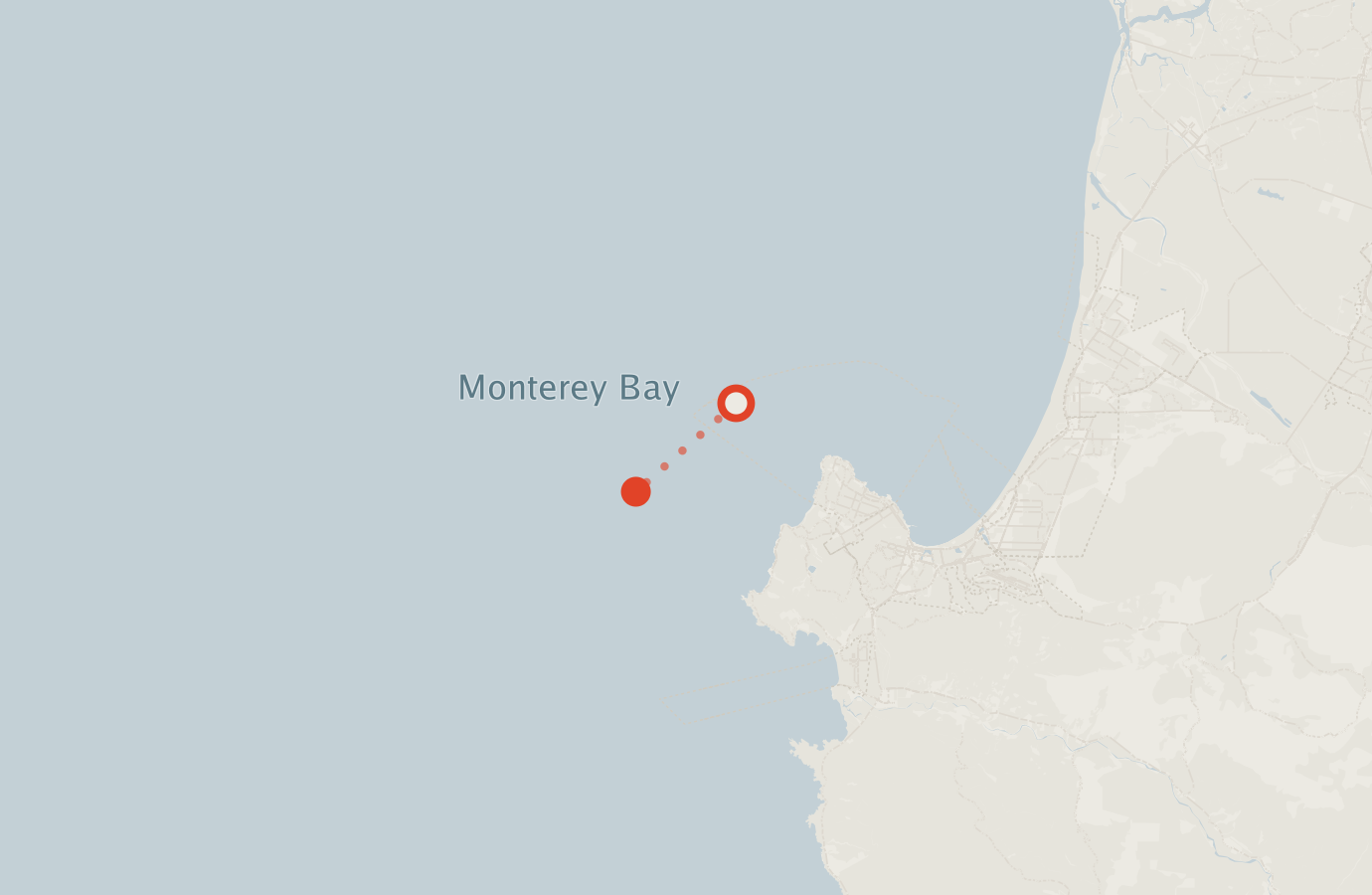 Activity map — real sighting points on an OpenStreetMap basemap