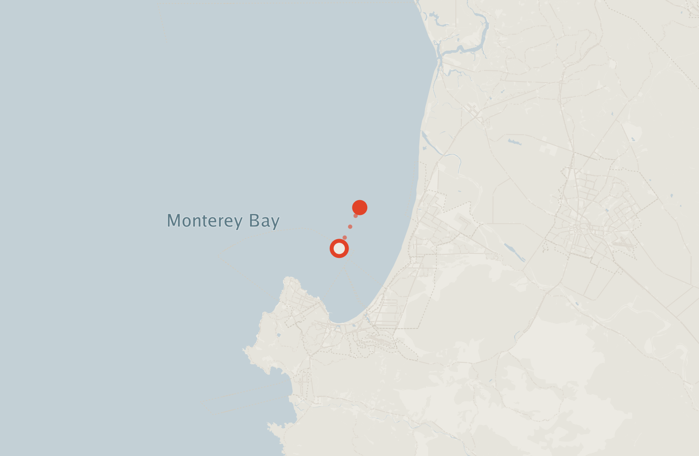Activity map — real sighting points on an OpenStreetMap basemap