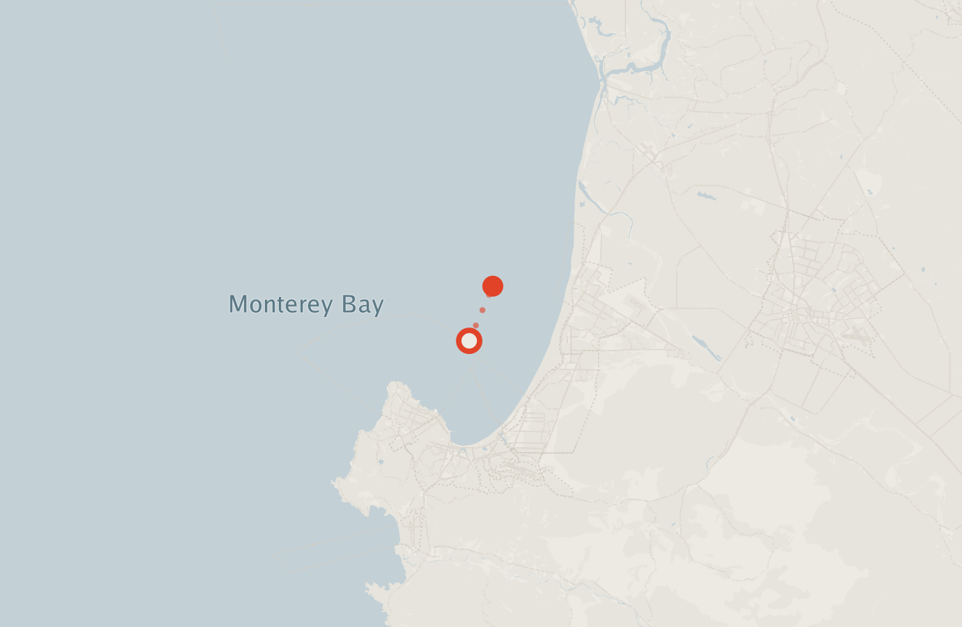 Activity map — real sighting points on an OpenStreetMap basemap