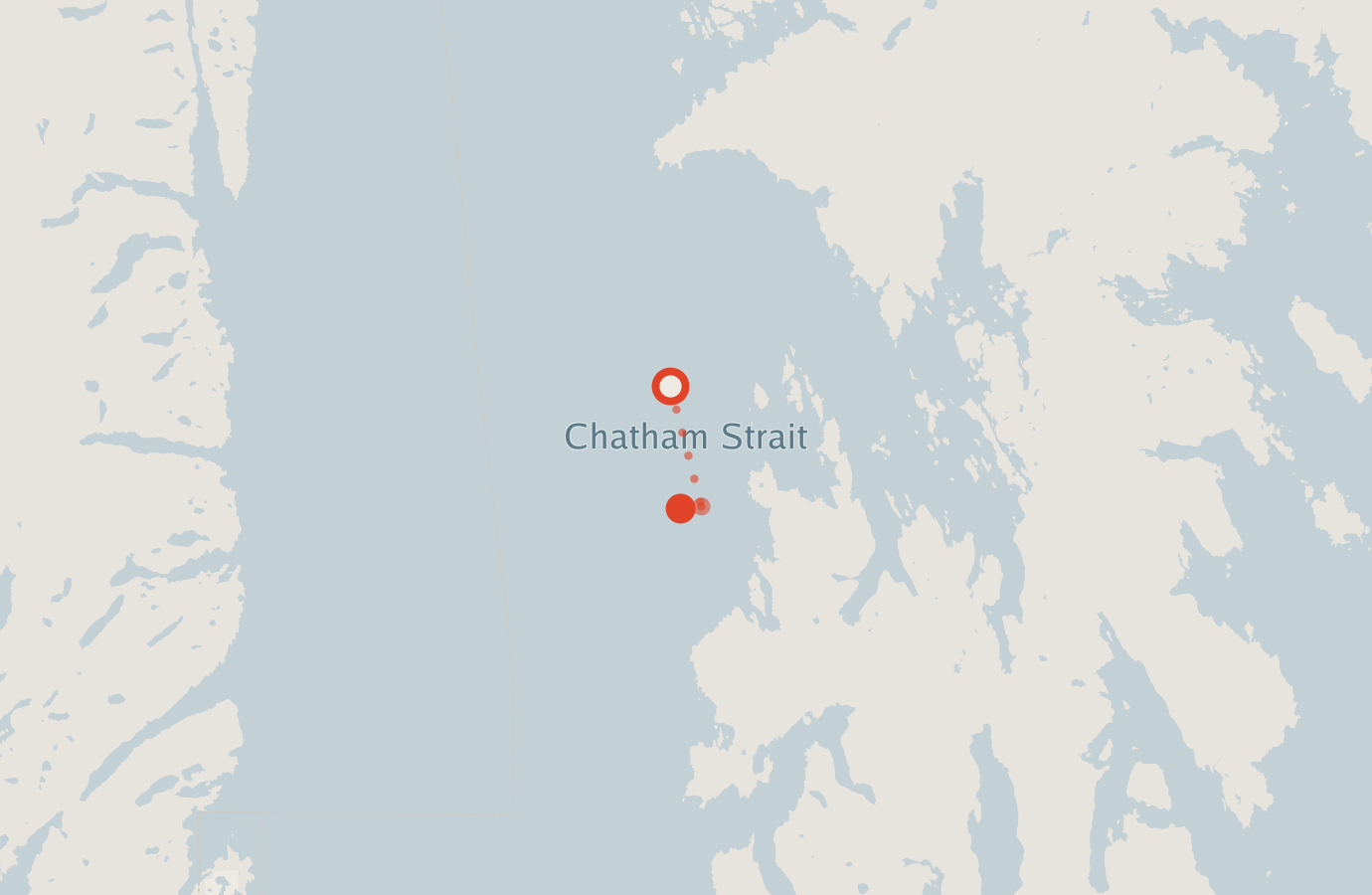 Activity map — real sighting points on an OpenStreetMap basemap