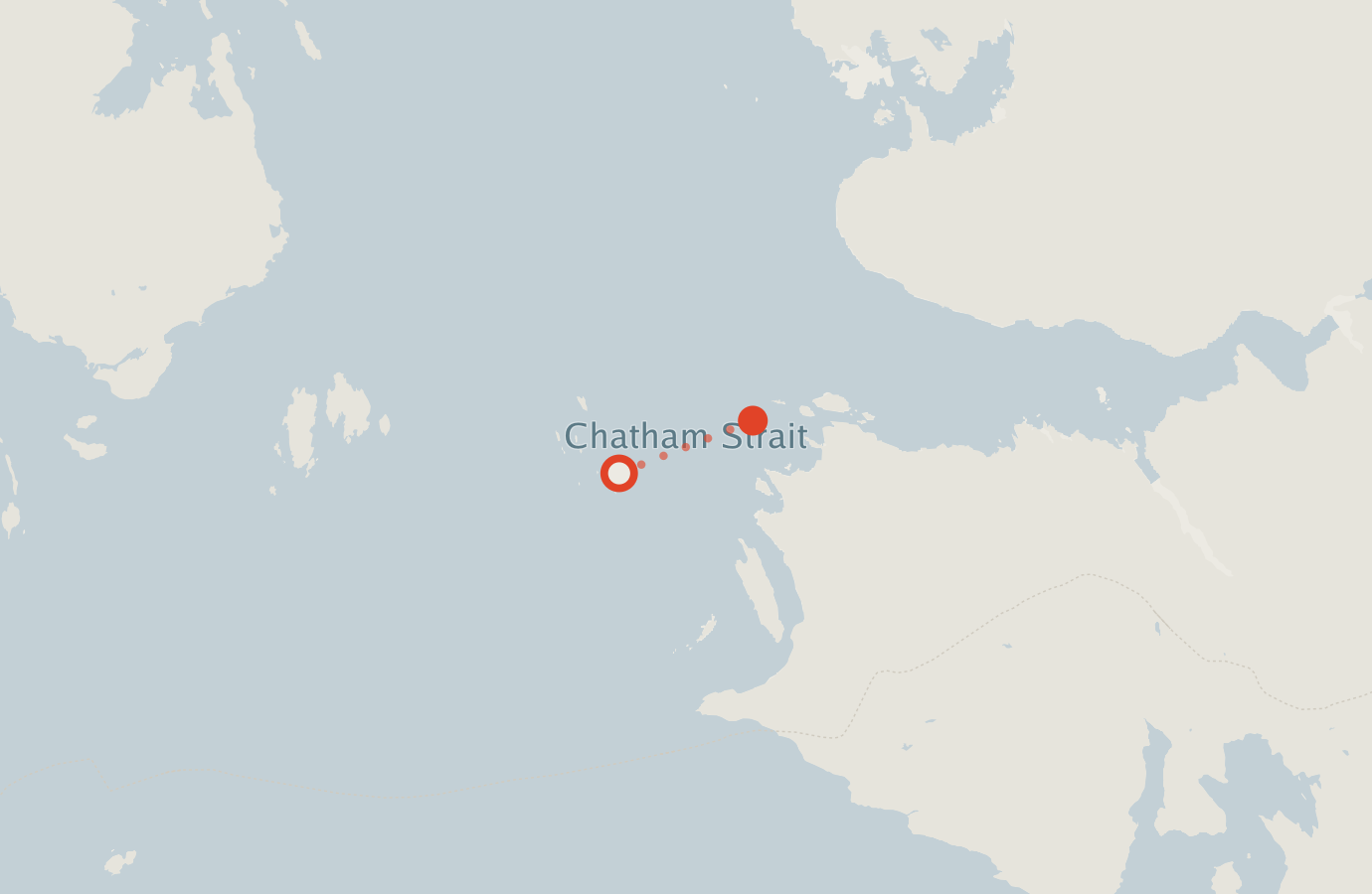 Activity map — real sighting points on an OpenStreetMap basemap
