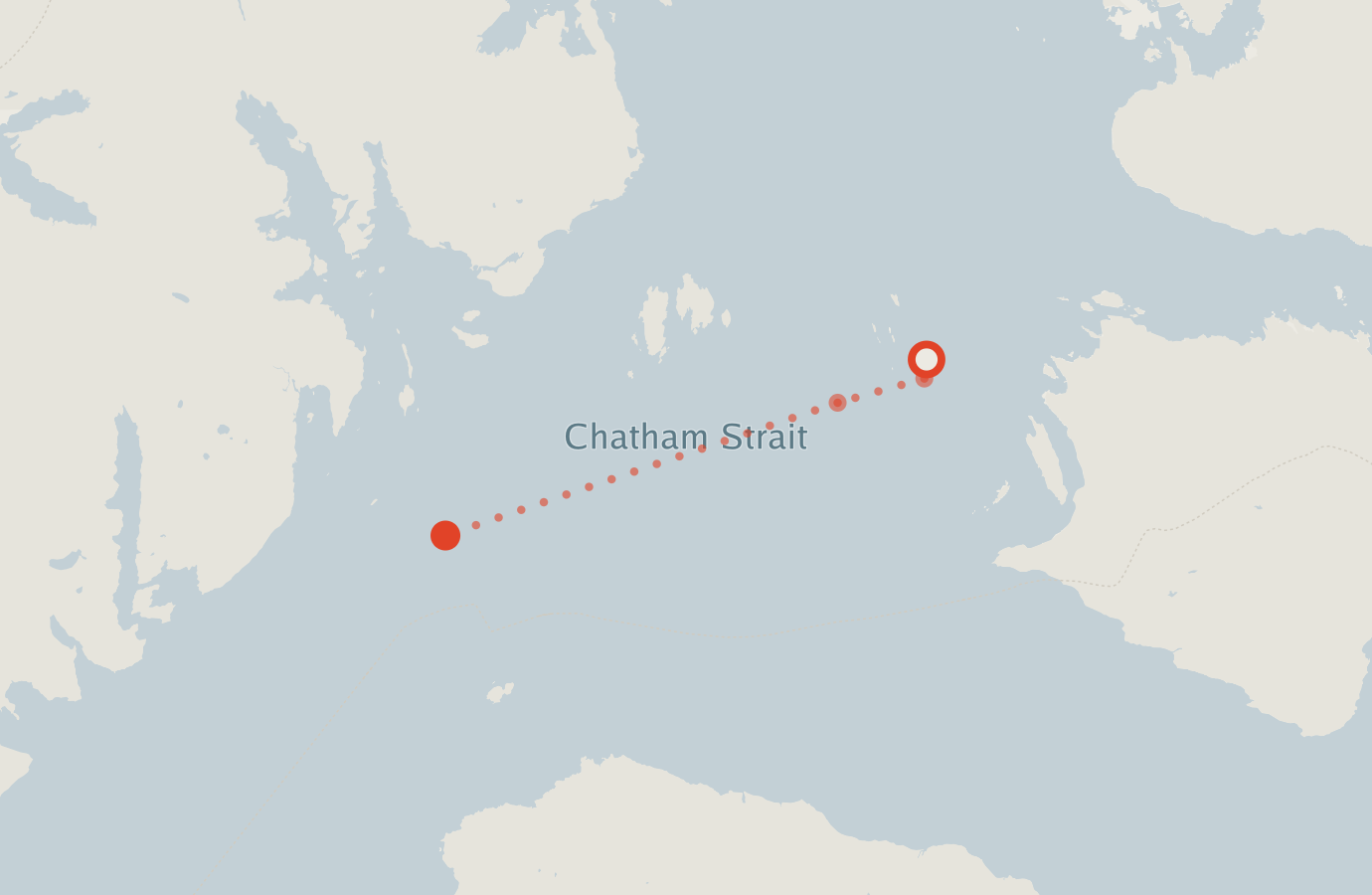 Activity map — real sighting points on an OpenStreetMap basemap