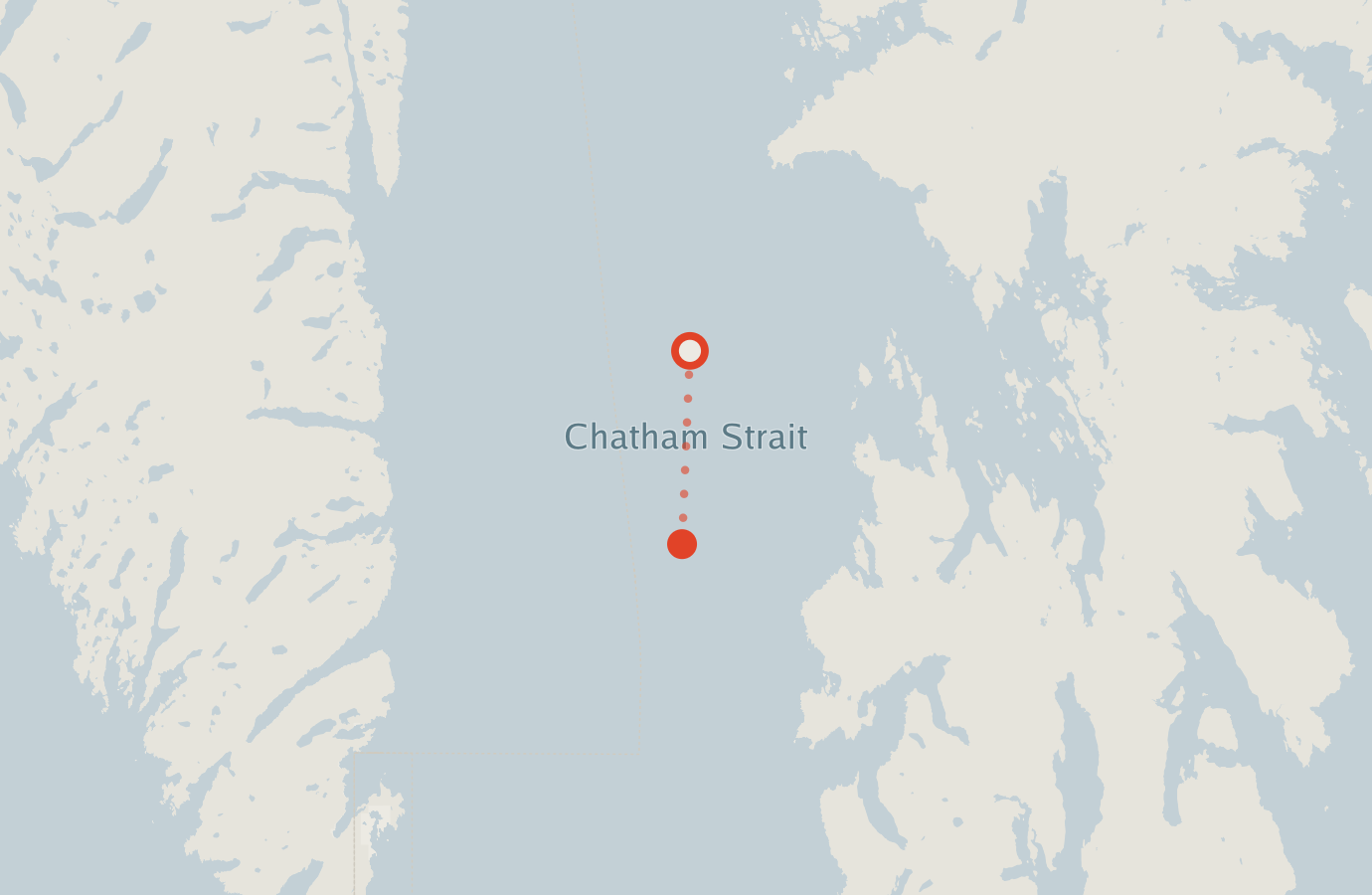 Activity map — real sighting points on an OpenStreetMap basemap