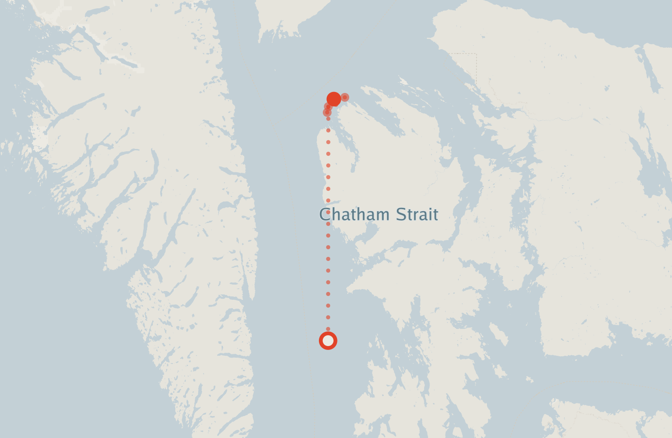 Activity map — real sighting points on an OpenStreetMap basemap