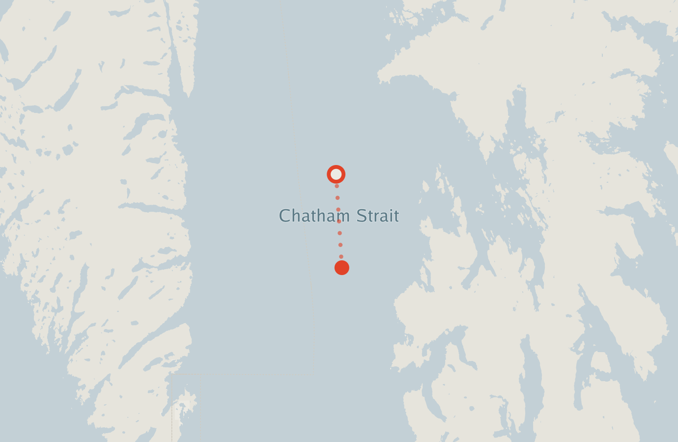 Activity map — real sighting points on an OpenStreetMap basemap