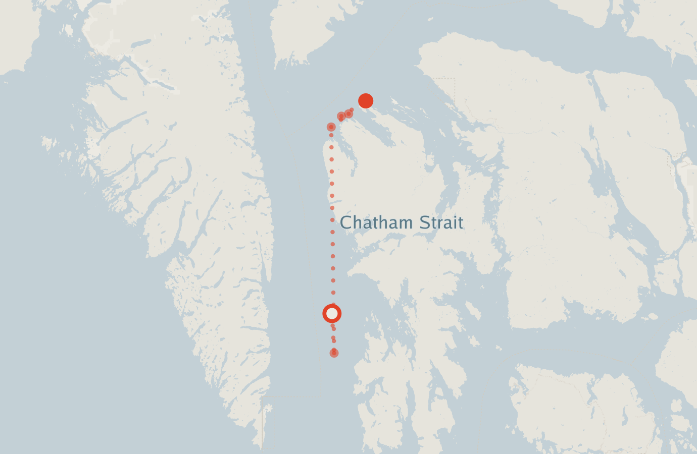 Activity map — real sighting points on an OpenStreetMap basemap